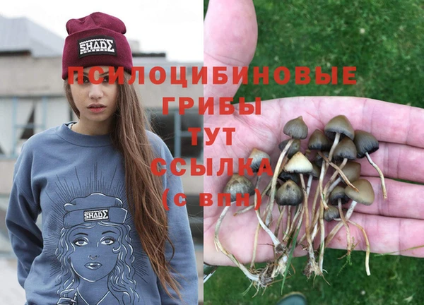 COCAINE Богородицк