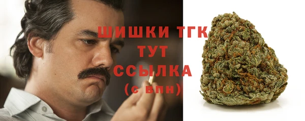 спайс Богородск