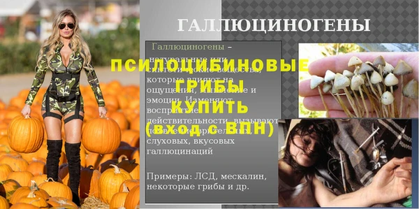 спайс Богородск