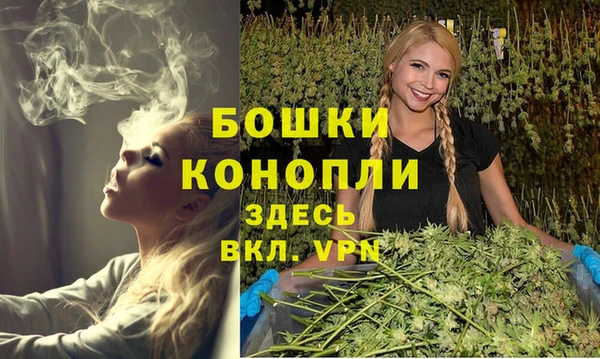 спайс Богородск