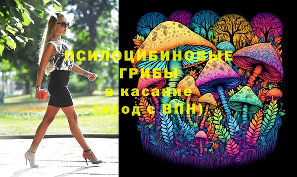 спайс Богородск