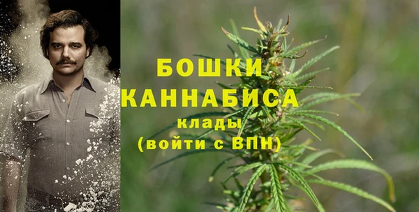 спайс Богородск